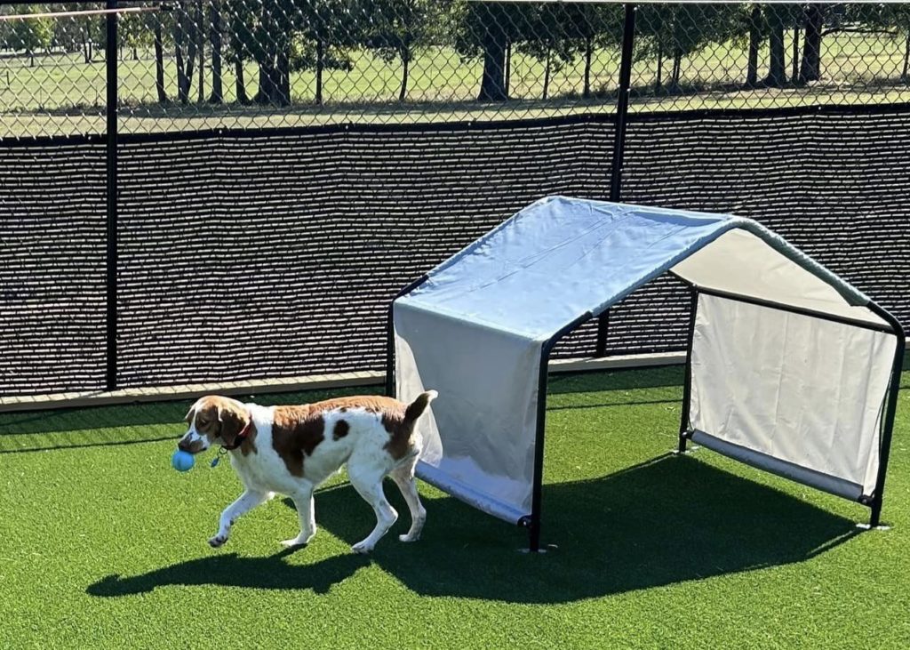 Big Dog Boarding shade tent