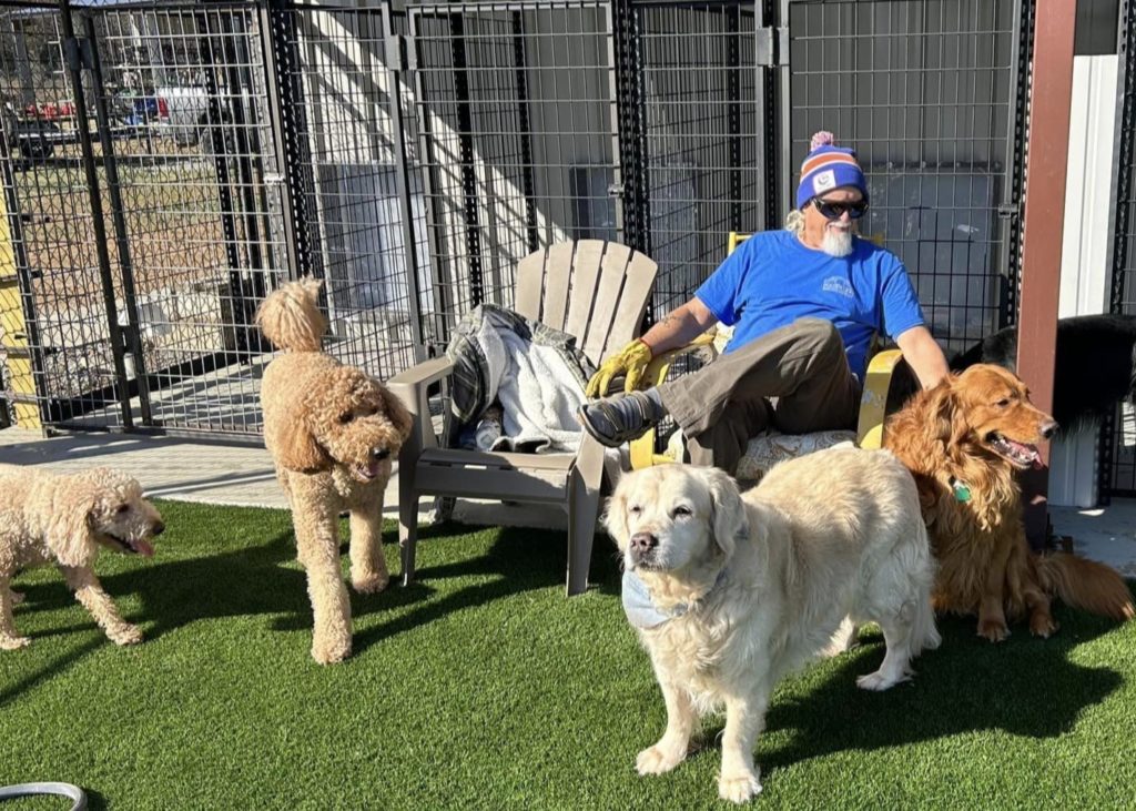 Big Dog Boarding sitting in the yard